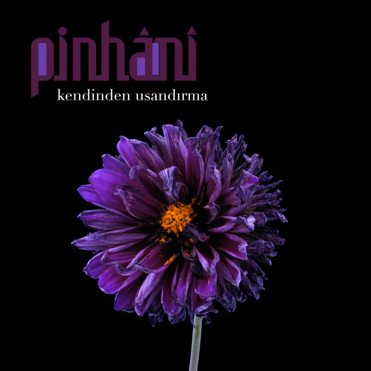 Pinhani - Kendinden Usandırma