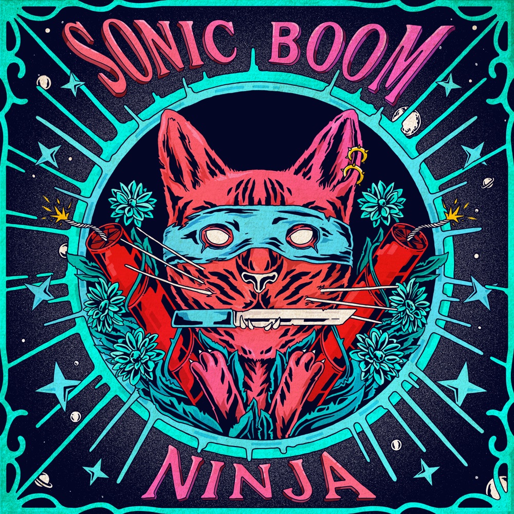 Sonic Boom - Ninja